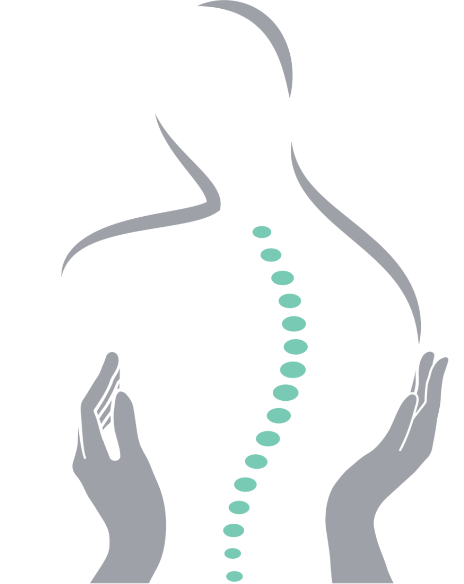 ציור של עמוד שדרה